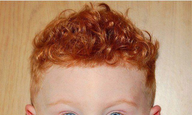 Cortes de Cabelo Masculino Infantil 2025 Cortes de Cabelo Masculino Infantil 2025